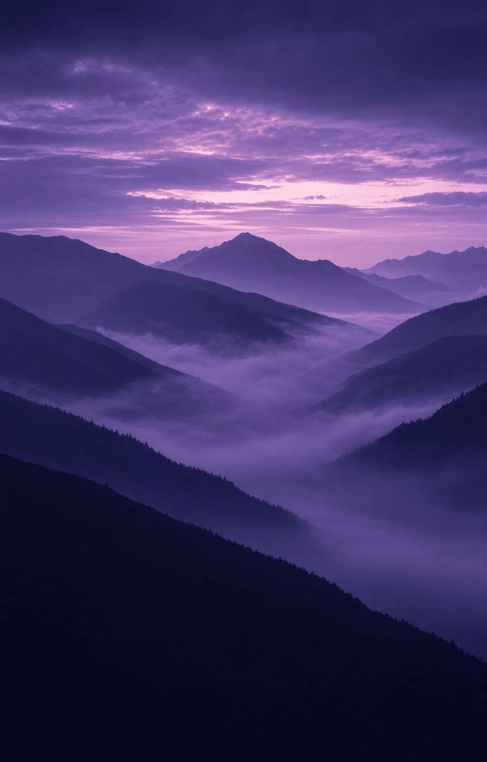 Misty mountain valley before dawn
